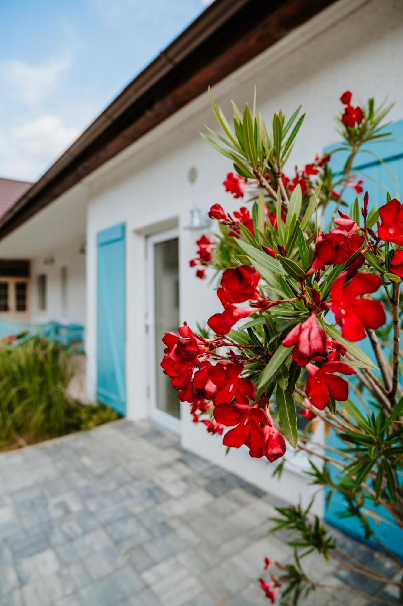 Ako Doma Hotel Poltar Ngoại thất bức ảnh